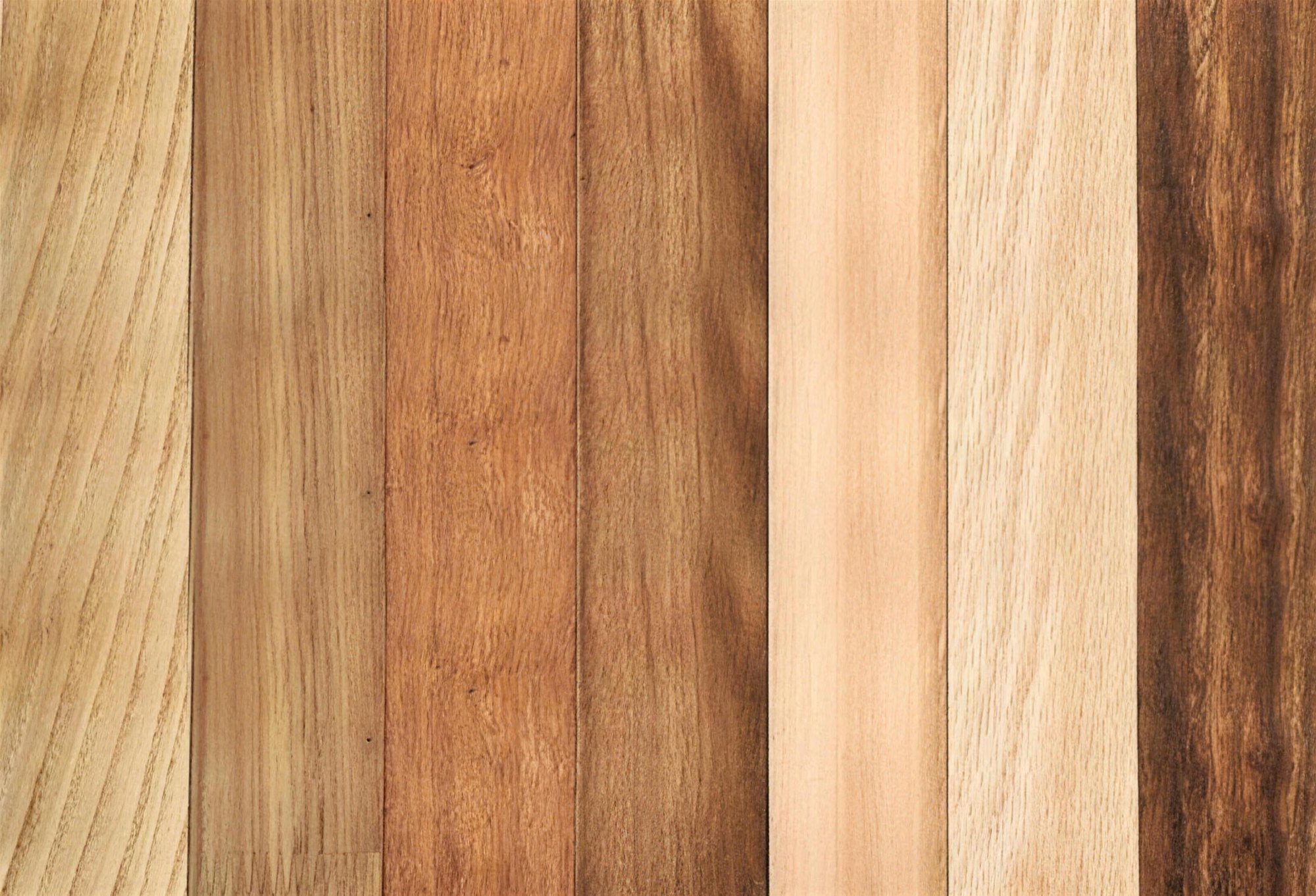Wood species grains